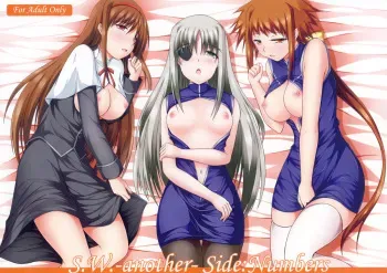 (COMIC1☆4) [ArcS (Sakura Yuu)] S.W.-another- Side:Numbers (Mahou Shoujo Lyrical Nanoha) manga cover