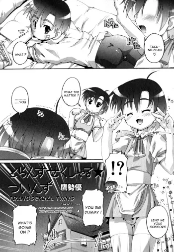 Transsexual Twins manga cover