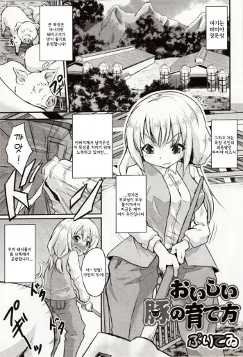 [Puritei] Oishii Buta no Sodatekata | 맛있는 돼지를 키우는 법 (Kemono DIRECT 4) [Korean] manga cover