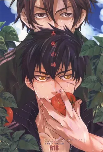 (Senka no Toki) [PINK POWER (Mikuni)] Akairo no Aji (Touken Ranbu) manga cover
