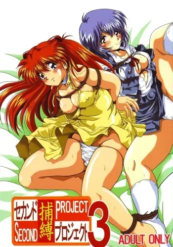 [Thirty Saver Street 2D Shooting (Maki Hideto, Sawara Kazumitsu)] Second Hobaku Project 3 (Neon Genesis Evangelion) manga cover