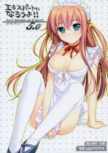 (C76) [Alpha to Yukaina Nakamatachi (Alpha)] Expert ni Narouyo!! 5.0 - Let's Become an Expert! manga cover