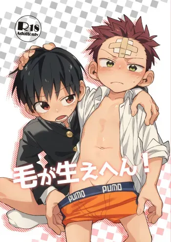 Ke ga Gaehen! manga cover