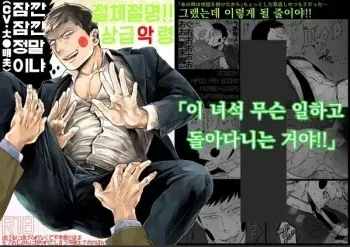 Spirit in Danger manga cover