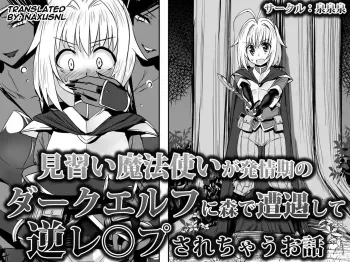 Minarai Mahoutsukai ga Hatsujouki no Dark Elf ni Mori de Souguu Shite Gyaku Rape Sarechau Ohanashi | An apprentice sorcerer encounters dark elves who are in heat in the forest and gets reverse raped manga cover