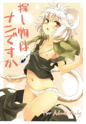 (C82) [Animal Passion (Yude Pea)] Sagashimono wa Nan Desu Ka (Touhou Project) manga cover