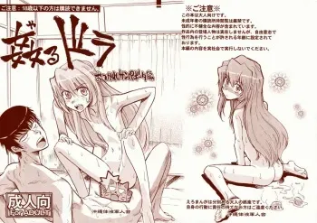 (COMIC1☆4) [Okinawa Taieki Gunjinkai (Yasunaga Kouichirou)] Yarudora - Otsukare Sampaguita hen (Toradora!) [English] =TV= manga cover