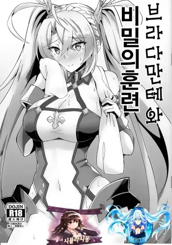 (C95) [Tiusan Kingdom (Kazamitiu)] Bradamante to Himitsu no Tokkun | 브라다만테와 비밀의 훈련 (Fate/Grand Order) [Korean] [시뮬라시옹 & Mercury] manga cover