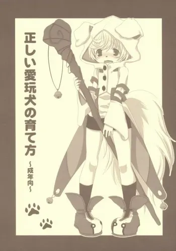 (C72) [Nekotank (Maitou)] Tadashii Aigan-ken no Sodate Kata (Shining Force EXA) manga cover