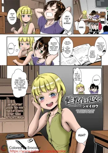 Seikyouiku wa Rankou de manga cover