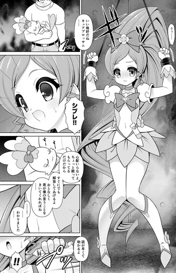 [Getsusekai] Cure Blossom Manga (Heart Catch Precure) manga cover