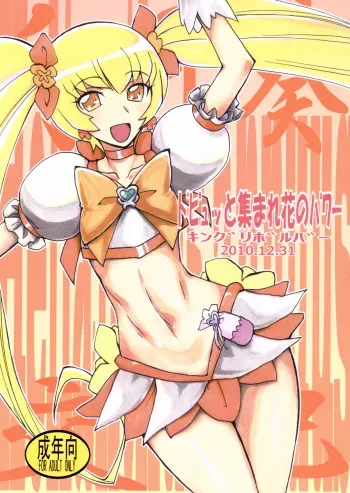 (C79) [King Revolver (Kikuta Kouji)] Dopyutto Atsumare Hana no Power (HeartCatch Precure!) manga cover