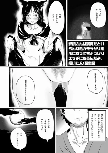 [Shimuro Itaru] 影狼さん太眉漫画 (Touhou Project) manga cover