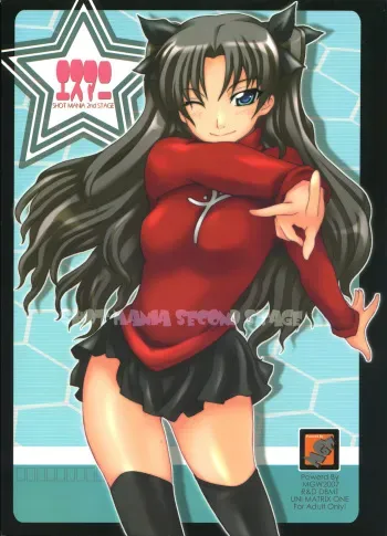 (C71) [MGW (Isou Doubaku)] SHOT MANIA 2nd STAGE (Fate/stay night) manga cover
