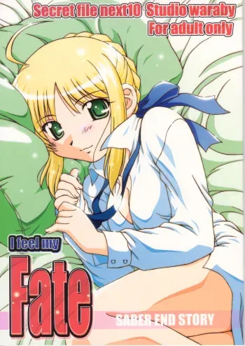 (C66) [Studio Wallaby (Takana Yu-ki)] Secret file next 10 - I feel my Fate (Fate/stay night) manga cover