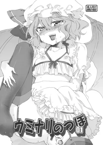 (C79) [Uminari (Narumi)] Uminari no Tsubo 01 (Touhou Project) manga cover