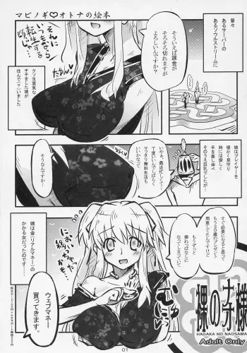 (C71) [Saitouya (Saito)] Hadaka no Nao-sama (Mabinogi) manga cover