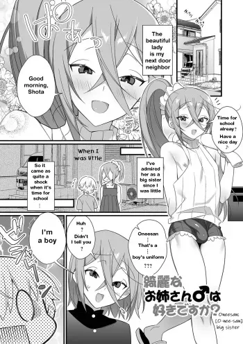 Kireina Onesan♂ wa Sukidesuka? | The beautiful big-sister next door manga cover