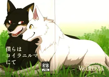 (Kansai Kemoket 10) [Wolfonia (一ツ田はうる)] We are at Koilanirma manga cover