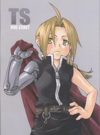 [MIX*SCRAMBLE (Kasuga Yume)] TRUE SECRET (Fullmetal Alchemist) manga cover