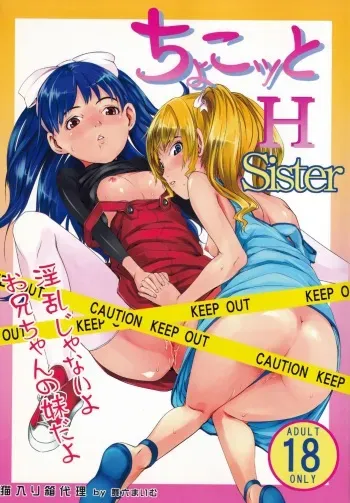 (C71) [Neko iri bako dairi (Maimu-Maimu)] Chokotto H Sister (Chokotto Sister) manga cover