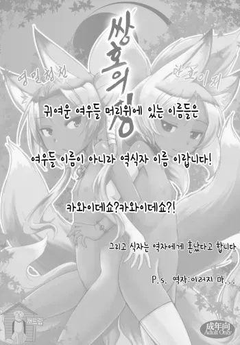(C84) [Tanmatsu Ijou (BadHanD)] Souko no Tobari [Korean] [Team Dog Drip] manga cover