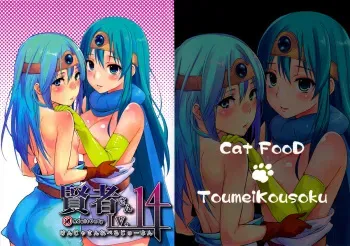 (C82) [Cat Food & Toumei Kousaku (NaPaTa & Chika)] Kenja-san Level 14 | Miss Sage Level 14 (Dragon Quest III) [English] [4dawgz + FUKE] manga cover