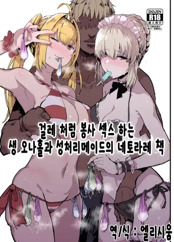 [Nhoooooooooooooo (Oosawara Sadao)] Yarichin ni Gohoushi Sex Suru Nama Onaho to Seishori Maid Netorase Hon | 걸레 처럼 봉사 섹스 하는 생 오나홀과 성저리에이드의 네토라레 잭 (Fate/Grand Order) [Korean] [엘리시움] [Digital] manga cover