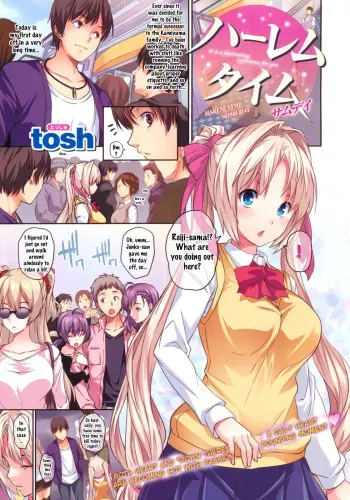 Harem Time Someday manga cover