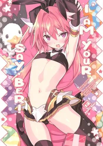Boku wa Kimi no SAYBER! manga cover