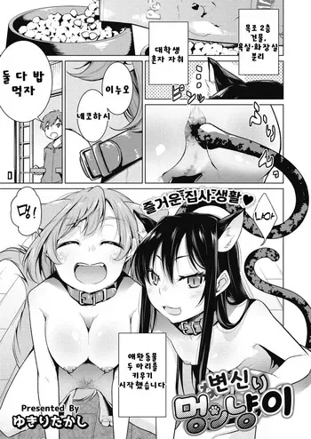 [Yukiri Takashi] Narikiri Wan Nyan | 변신 멍냥이 (COMIC Megastore Alpha 2017-05) [Korean] [Digital] manga cover