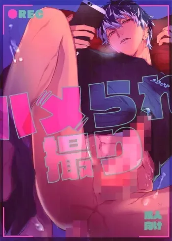 Hame Rare Tori manga cover