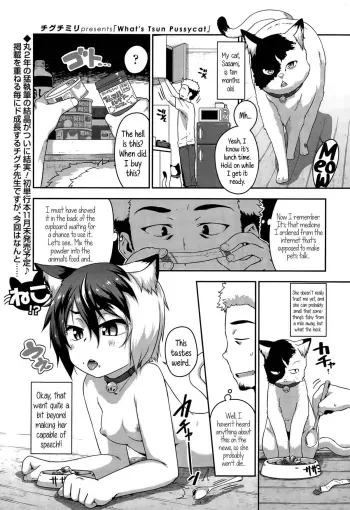 What's Tsun Pussycat manga cover