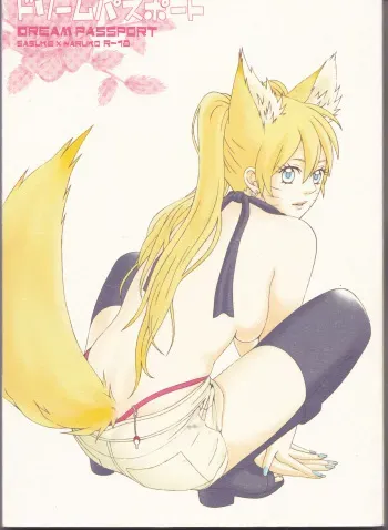 (C75) [Pierre (Garakuta Sochi)] Dream Passport (Naruto) manga cover