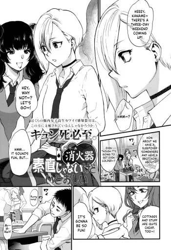 Dishonest But Lovely manga cover