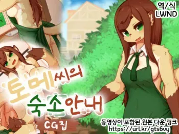 [Ohakotomeno (Ohakotome)] Tome-san no Oyado Annai CG Shuu | 토메 씨의 숙소 안내 CG집 [Korean] [LWND] manga cover