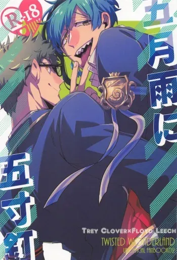 (Beckon of the Mirror 9) [Lemonade Kaibouzu (Namagomi)] Samidare ni Gosunkugi (Disney: Twisted-Wonderland) manga cover