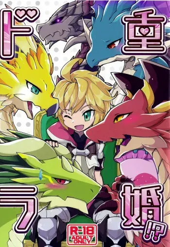 [Nanikaga. (Shiokake)] Dorajuukon!? (Dragalia Lost) [English] [Tigoris Translates] [2019-05-17] manga cover