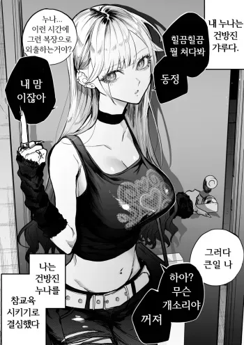 [Egaki Numa] Namaiki na Gal Ane o Ore no Houhou de Wakaraseru Koto ni Shita Hi 1-5 [Korean] [Ongoing] manga cover