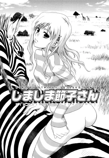 Shimasan | Stripey Stripey Setsuko-san manga cover