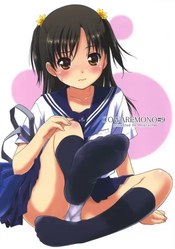 (C74) [Ocarina (Dyontairan)] Cowaremono #9 manga cover