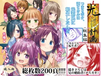 (C101) [Noraneko-no-Tama (Yukino Minato)] Hikari no Kimi no Saganaki Keikaku <Soushuuhen> manga cover