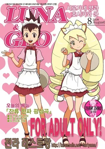 (C74) [Zenra Restaurant (Heriyama)] Shirogane-san to Hoshikawa-kun (Mega Man Star Force) [Korean] manga cover