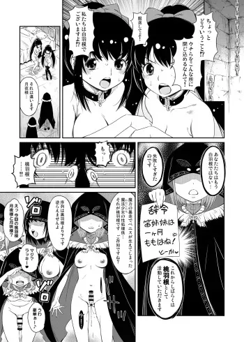 [YOU2HP (YOU2)] The Amane sisters' Erotic Manga (Magia Record: Puella Magi Madoka Magica Side Story) [Digital] manga cover