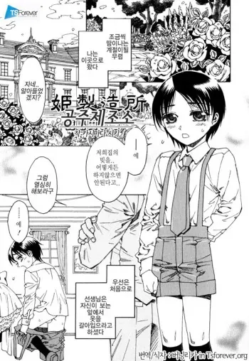 [Kashimada Shiki] Princess Factory [korean] manga cover