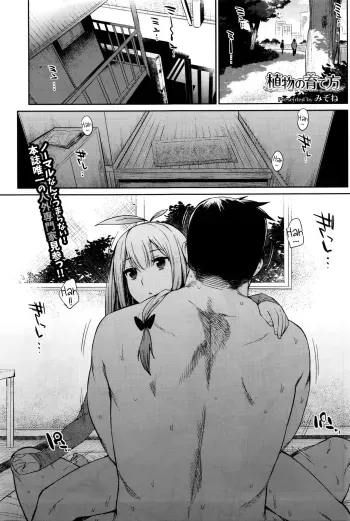 Shokubutsu no Sodatekata | How to Raise Plants manga cover