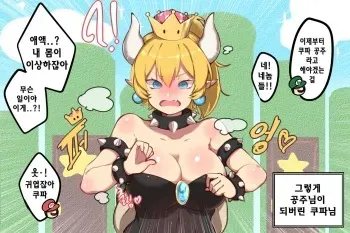 [ooyun] 쿠파공주 (New Super Mario Bros. U Deluxe) [Korean] manga cover