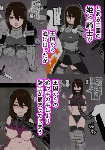 騎士・姫敗北拘束記録 manga cover