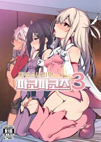 (C95) [Ranshi to Kimi to. (santa)] Mahou Shoujo Saimin PakopaCause 3 | 마법소녀최면 파코파코즈 3 (Fate/Grand Order, Fate/kaleid liner Prisma Illya) [Korean] manga cover