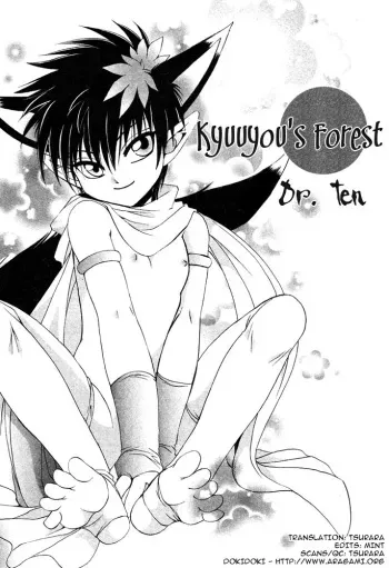Mimi Paradise vol2 ch4 manga cover